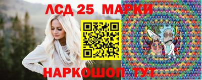 гашик Дубна
