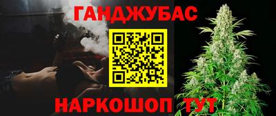 гашик Дубна