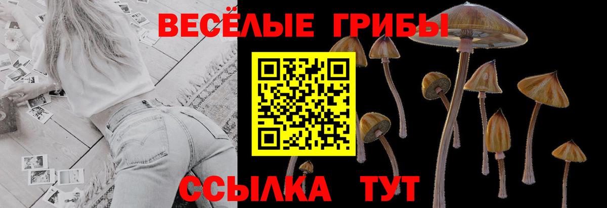 Магадан  Галлюциногенные грибы Magic Shrooms  Вход с VPN 